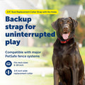 PetSafe 3/4 Inch Replacement Collar Strap, Rust