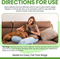 Chew + Heal Labs Hypochlorous Acid Spray for Dogs – Dog Wound Spray for Cuts, Burns, Sores, Abrasions, and More – Non Toxic and Chemical Free HOCI Wound Care – Made in The USA, 4 oz