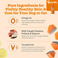Zesty Paws Salmon Oil for Dogs 8.5oz + Beef Bone Broth 8oz/6ct Bundle