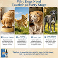 Liquid Taurine Supplement for Dogs - Bacon Flavor Dog Heart & Circulation Support with Dropper - Essential Amino Acid fo