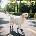 EXPAWLORER Dog Socks to Prevent Licking and Slipping, Summer Dog Shoes for Hot Pavement, Paw Protectors Boots for Hardwo