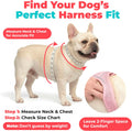 Voyager Step-in Air Dog Vest Harness - Moss Green, Small