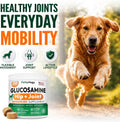 Glucosamine for Dogs - 250 Chews with Chondroitin - Hip and Joint Supplement with MSM - Turmeric - Omega 3 - Joint Pain Relief - Advanced Support for Dog Health - For Large, Medium & Small Breeds
