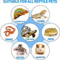 Reptile Basking Platform 6 × 6", Extra Large Reptile Slate, Basking Rock, Slate Tiles Rocks for Reptiles, Terrarium Bowl
