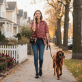 OllyDog Backcountry Day Bag | Dog Training Treat Pouch | Eco-Friendly Recycled Fabric Fanny Pack with Zipper Closure, Bu