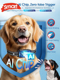 DINJOO Smart Bark Collar - Rechargeable Anti Barking Training Collar with 8 Adjustable Sensitivity, Beep & Shock (Dark B