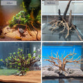 emours Natural Aquarium Driftwood, [170g] (20–40 cm /8–16 in) - Unique Root/Spider Wood Branches for Aquascaping, Plante
