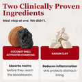 Vetanica PawMergency – Activated Charcoal First Aid Kit Emergency Rescue 2 Pack for Dogs, Cats, Puppy & Pet Poison Kit, Camping Survival Remedy Essential, Oral Anti Diarrhea Digestive Absorb Toxins