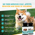 AminAvast 1000 mg Kidney Support for Dogs, 3 Bottles, 180 Sprinkle Capsules
