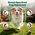Canine Dewormer for Dogs (fenbendazole) 50 g, Easy-to-Measure Food Mix-in, Simple Routine Support for Dogs 6 Weeks and Older