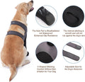 Dog Socks to Prevent Licking Paws ，Breathable Dog Leg Sleeve to Stop Licking and Biting， Firm and Secure Protect Wounds 