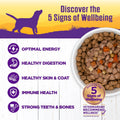 Wellness Complete Health Stew Adult Canned Wet Dog Food, Grain Free, Natural, Beef Recipe, 12.5 oz, Pack of 12 Cans