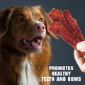 Dog Treats Duck Jerky 1.5 LB – Dog Food & High Protein Chews for Large, Medium & Small Breeds – Natural Healthy Training