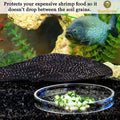 SunGrow Tough Borosilicate Glass Shrimp & Gecko Feed Dish, Wide and Deep, Transparent Basin for Shrimp Food, Dog & Cat M