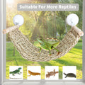 FlidRunest 21.6 x 7.8 in Seagrass Bearded Dragon Hammock for Window, Large Lizard Window Perch, Reptile Hammock Perch wi