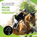 SynNutra Equine SynChill AF Horse Calming Supplement Gel, 3 Pack