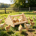 GINTUTO Wooden Chick Perch Stand, Pine Chicks Roosting Bar, Jungle Gym Perch Toys for Chicken Coop & Brooder, Bird Perch for Baby Chicks & Parrots (Small)