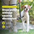 PetSafe Gentle Leader No Pull Dog Headcollar