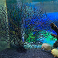 2Pcs Aquarium Artificial Plants Coral Reef 7 inches Fish Tank Decorations