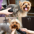 Bucchelli Detachable A Series Wide 30 Blades for Dog Grooming Cuts Length 1/50" - 0.5mm Japanese Carbonized Steel Wide Grooming Blades Compatible A5 Series Wide Clippers for Dogs(30W)