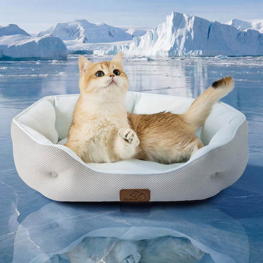 Bedsure Cooling Dog Beds for Small Dogs - Round Cat Beds for Indoor Cats, Washable Pet Bed for Puppy and Kitten with Slip-Resistant Bottom, 20 Inches, Arctic Cooling Blue