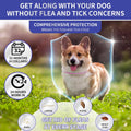 YOTANGO Flea Collar for Dogs, Dog Flea and Tick Collar, 4 Pack, 32 Months