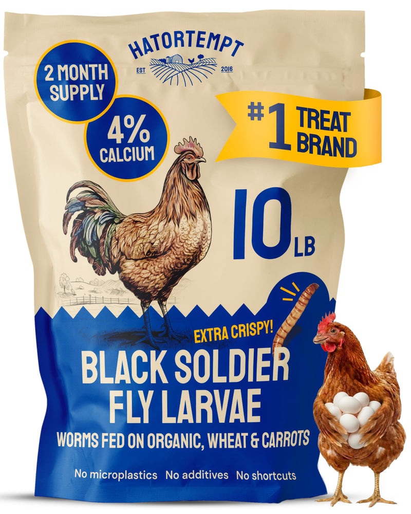 Hatortempt 10lbs Black Soldier Fly Larvae for Chickens - 114X More Calcium Than Mealworms for Chickens - High Protein Worms - Feed Treats for Laying Hens, Quails and Ducks