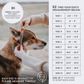 MADE TO ROAM Premium Everyday Dog Collar - Martingale Style No Pull Vegan Leather Collar, Heavy Duty and Lightweight for