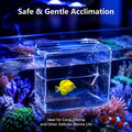 Fish Breeder Box for Aquarium, Hanging Acclimation Box, Fish Isolation Box