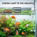10 PCS Aquarium Floating Plant Barrier, 5 Sizes Fish Feeding Ring Black