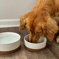 Mora Ceramic Pet Bowl Size Medium - Food/Water Dish for Large Puppies, Cats, Retrievers, Medium Sized Dogs, ect. 28oz or