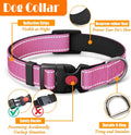 LOBEVE No Pull Dog Harness, Collar & Leash Set | Includes Dog Seat Belt, Collapsible Bowls & Poop Bag Dispenser. Ideal for Training, Walking, Hiking. Fits Small to Large Dogs(Pink-M)