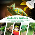LUCKY HERP Intense Heat Lamp Bulbs for Reptiles 100W 2 Pack, UVA Daylight Reptile Heat Lamp, Reptile Basking Heat Light 