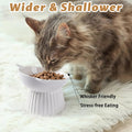 Wellbro Ceramic Raised Cat Bowl，Tilted Raised Cat Bowl Anti Vomit Cat Bowls for Indoor Cats Whisker Friendly Pet Feeder for Cats Puppies, Microwave and Dishwasher Safe
