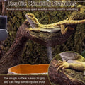 BNOSDM 2PCS Natural Reptile Climbing Branches Decor,1.8-2.2" Thick Natural Snake Climbing Forest Wood with Plant Leaf De