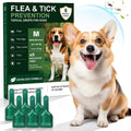 Flea and Tick for Medium Dogs 23-44 lbs, 6 Topical Doses