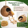 HERCOCCI Gecko Tank Accessories, Hermit Crab Toys Coconut Shell Natural Coconut Husk Hut with Climbing Ladder with Sucti