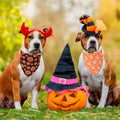 ADOGGYGO Halloween Dog Bandanas, 4 Pack Skeleton Ghost Pumpkin Bandana, L