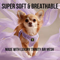 EcoBark Premium Teacup Dog Harness, Mini Step in Vest, XXXS