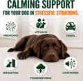 Hemp Calming Chews for Dogs - 170 Dog Calming Chews - Anxiety Relief Treats - Advanced Stress Relief Supplement, Separation Aid, Barking, Fireworks, Melatonin - Hip & Joint Support - Made in USA