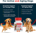 Antinol Plus, Mobility, Hip, and Joint Supplement for Dogs, Green-Lipped Mussels and Krill Oil - Dog Joint Supplement, Better and Faster Than Glucosamine and Chondroitin, 60 Soft Gels