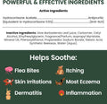 Chew + Heal Labs Hydrocortisone Lotion for Dogs - 4 oz Anti Itch Cream for Irritated Skin, Flea Bites, Itching, and More - Made in the USA