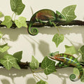 BNOSDM Reptile Climbing Branch Flexible Bend-A-Branch Jungle Vines Terrarium Plant Decoration with Suction Cup for Crest