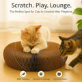 Interactive Cat Toy, Kitty Curls Cat Scratcher, Twisty Paws Cat Scratching Post, Kitty Kurls Magic Organ Cat Scratch Pad