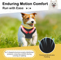 Adjustable Dog Backpack Harness with Reflective Leash, Backpack for Small Dogs, Built in Poop Bag Dispenser, Detachable 