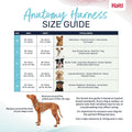 Halti Anatomy Dog Harness with Handle | Size L, Magenta