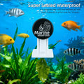 Magnetic Seaweed Feeding Clip for Saltwater Aquarium, Automatic Fish Feeder with Algae Magnet Clip, Glass Tank Accessory