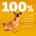 Pedigree Small Dogs Dry Dog Food, Grilled Steak and Vegetable, 14 lb