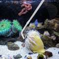 KABASI Waste Clean Tool Coral Fish Feeder with 2PCS Extension Pipes