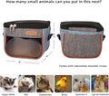 Sugar Glider Carrier Bag, Transparent Breathable Travel Bag for Hamster, Gecko,Baby Hedgehog, Transport Pouch with Breat